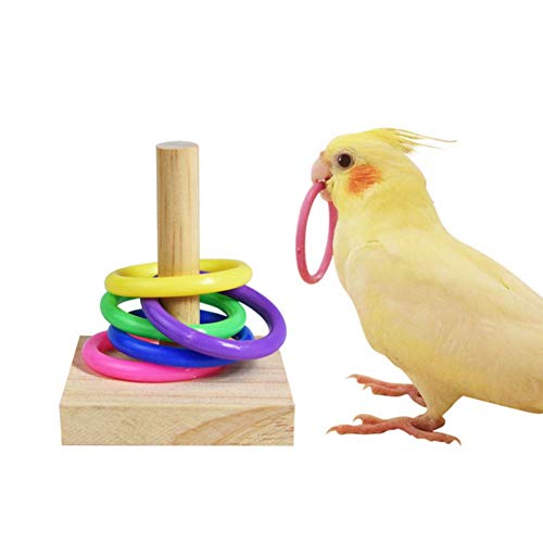 Papagei Vogel Spielzeug - Buntes Vogel-Ring-Spielzeug, Bird Trick Tabletop-Spielzeug Für Die Ausbildung Spielen Sie Im Fitnessstudio Auf Dem Spielplatz, 7,5 X 7,5 X 6 cm von Dequate
