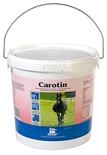 Derby Carotin 5 kg von Horslyx