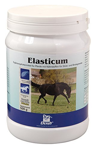 Derby Elasticum 500 g Derby Elasticum 500 g von Derby