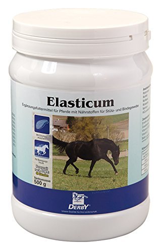 Derby Elasticum 500 g von Derby