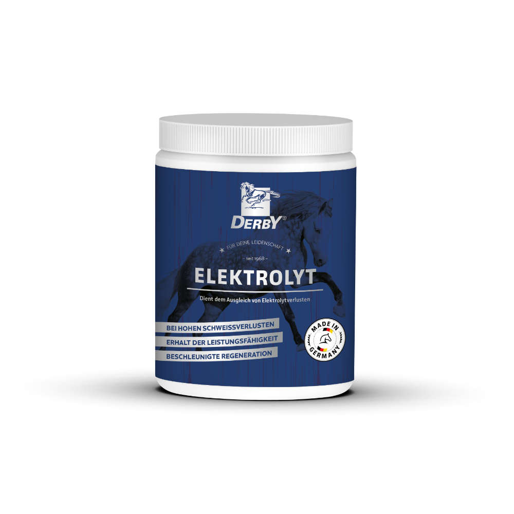 Derby Elektrolyt 1 kg Ausdauer & Frische Derby Elektrolyt 1 kg Ausdauer & Frische von Derby