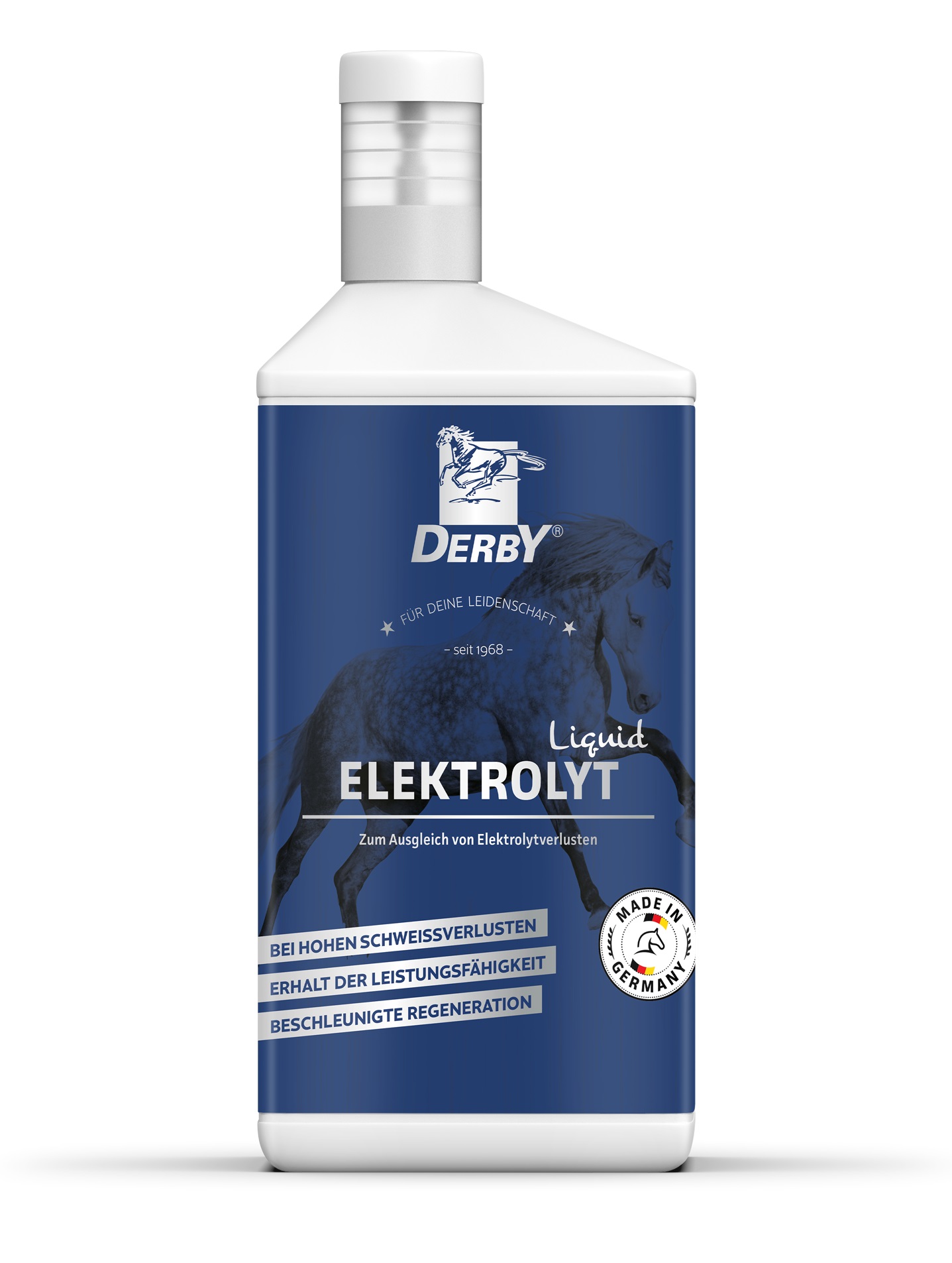 Derby Elektrolyt liquid 5L Kanister bei starkem Elektrolytverlust von Derby