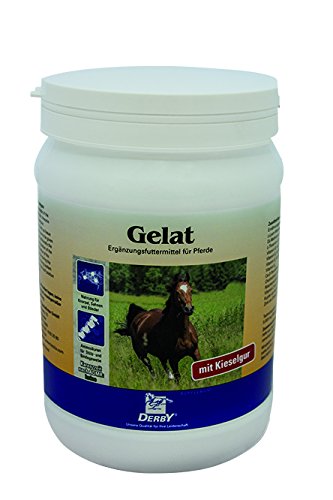 Derby Gelat 700 g von Derby