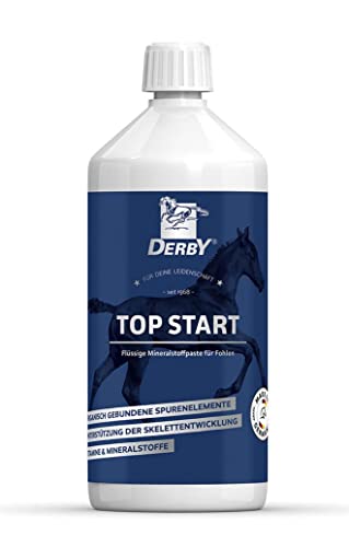 Derby Top Start 1 kg von Horslyx