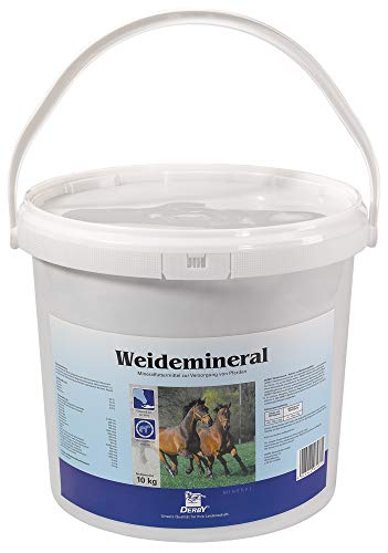 Derby Weidemineral 10 kg von Derby