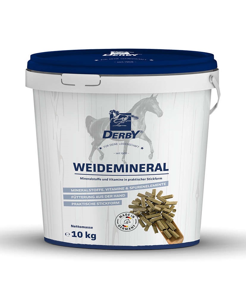 Derby Weidemineral 10kg In Leckerliform von Derby