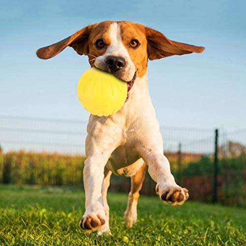 Spielzeugbälle für Hunde, Unzerstörbare Hüpfbälle Zum Apportieren von Hunden, Im Wasser Schwimmende EVA-Schaumstoffbälle, Spielzeugbälle für Hunde Zum Kauen, Solide EVA-Bälle für das Training Spielzeugbälle für Hunde, Unzerstörbare Hüpfbälle Zum Apportieren von Hunden, Im Wasser Schwimmende EVA-Schaumstoffbälle, Spielzeugbälle für Hunde Zum Kauen, Solide EVA-Bälle für das Training von Derefine