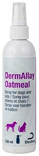 DermAllay Oatmeal Conditioner - 230 ml von DermAllay