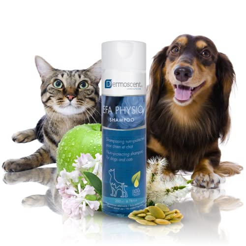 Sanftes Hundeshampoo für empfindliche Haut | Feuchtigkeitsspendende Fellpflege mit Hanfsamenöl & Niaouli-Öl | Für Hunde & Katzen geeignet | EFA Physio Shampoo von Dermoscent von Dermoscent