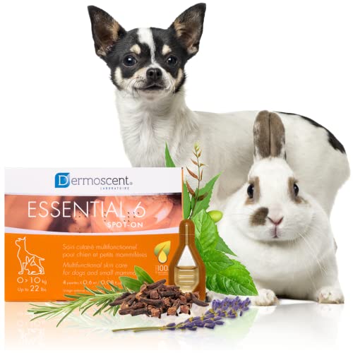 Dermoscent Essential 6 Spot-On – Linderung von Juckreiz bei Hunden – Linderung von Schuppen und Allergien mit Vitamin E-Öl 0–10 kg – 4 Pipetten mit 0,6 ml von Dermoscent