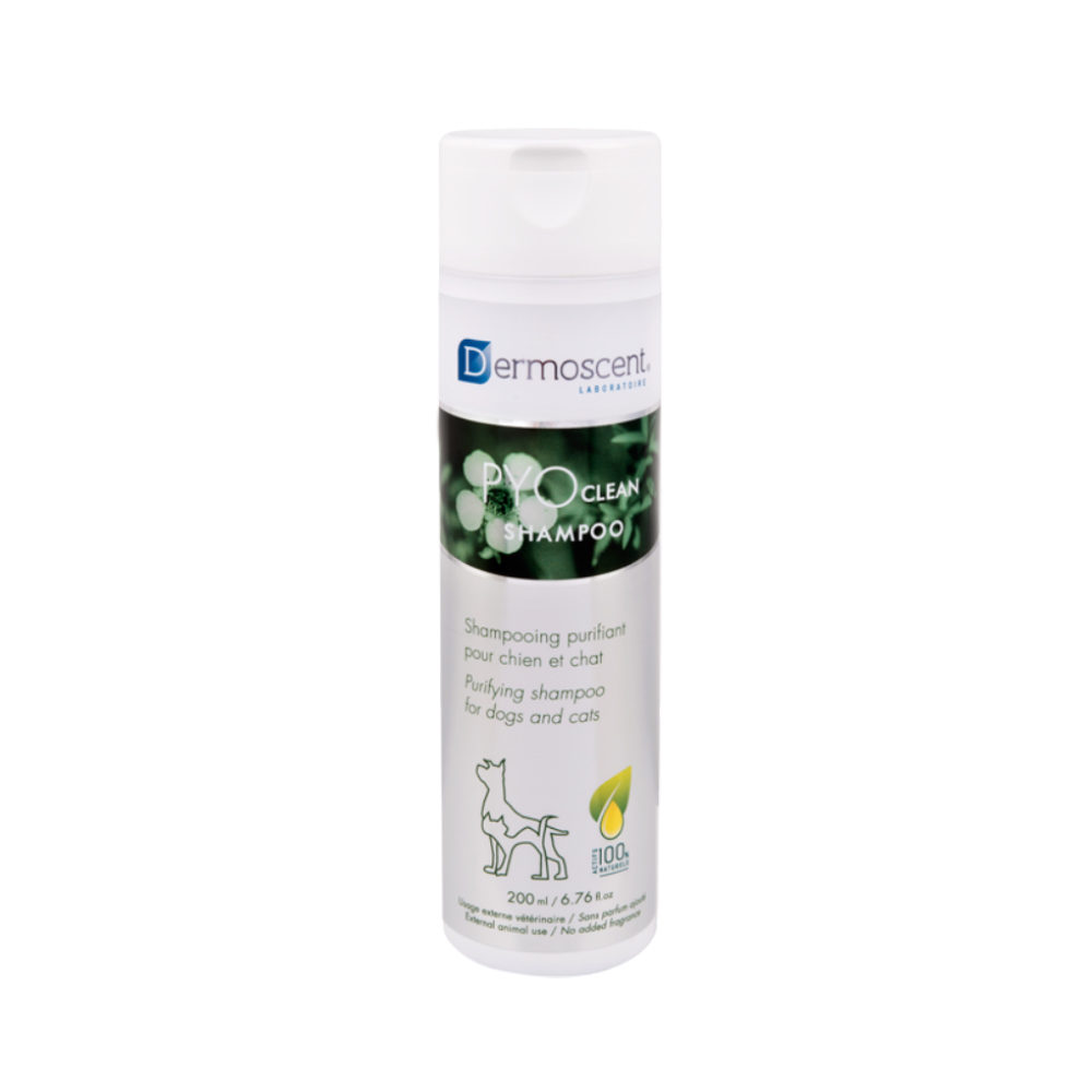 Dermoscent PYOclean Shampoo von Dermoscent