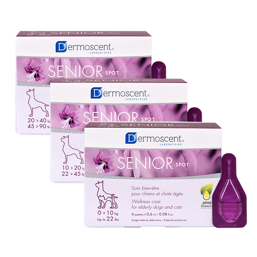Dermoscent Senior Spot-On 20 - 40 kg - 4 Pipetten Dermoscent Senior Spot-On 20 - 40 kg - 4 Pipetten von Dermoscent