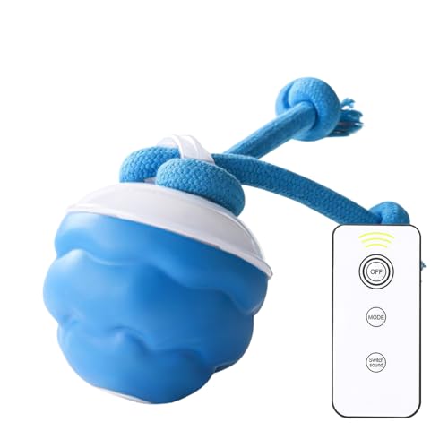 Derwrtup Interaktiver Ball für Hunde, automatischer Drehball für Hundejagd, leises Zubehör zum und Training im Park, Rasen und Derwrtup Interaktiver Ball für Hunde, automatischer Drehball für Hundejagd, leises Zubehör zum und Training im Park, Rasen und von Derwrtup