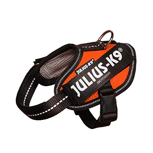 Julius-K9, IDC Powair Hundegeschirr, Größe: 2XS / Baby 2, Orange von JULIUS K-9