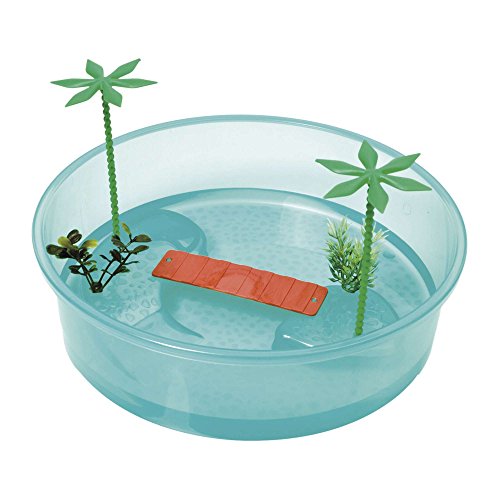 Desconocido Schildkröte rund Insel 26 x 7,5 cm blau Desconocido Schildkröte rund Insel 26 x 7,5 cm blau von Desconocido