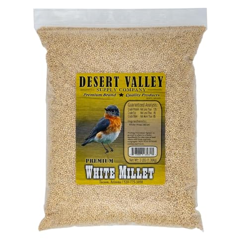 Premium Weiße Hirse Proso Samen - Wildvogelfutter - Kardinal - Finken & mehr - wiederverschließbarer Beutel (1,4 kg) von Desert Valley Supply