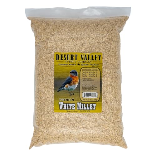 Premium Weißhirse Samen - Wildvogel - Wildfutter (2,3 kg) von Desert Valley Supply