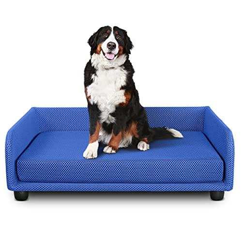 DESHOME - Hundebett für Innenhund, mittelgroß, abnehmbarer Bezug aus wasserabweisendem, strapazierfähigem und antibakteriellem Stoff | Hundebetten (M (90 x 70 x 28 cm), Blau) von Deshome