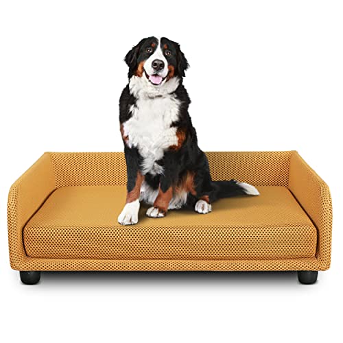 Deshome - Hundebett für Innenräume, mittlere Größe, Hundebett mit abnehmbarem Bezug aus wasserabweisendem, strapazierfähigem und antibakteriellem Stoff | Hundebetten 90 x 70 x 28 cm Gelb Deshome - Hundebett für Innenräume, mittlere Größe, Hundebett mit abnehmbarem Bezug aus wasserabweisendem, strapazierfähigem und antibakteriellem Stoff | Hundebetten 90 x 70 x 28 cm Gelb von Deshome