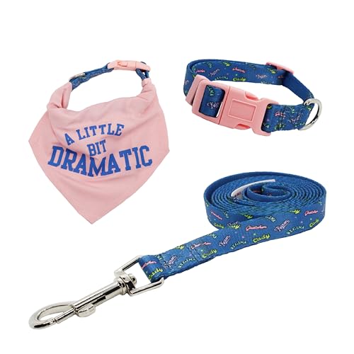 design LAB, Inc. Offizielles Mean Girls Merchandise | Set mit Hundehalsband, Bandana und Leine | Zubehör für kleine Hunde design LAB, Inc. Offizielles Mean Girls Merchandise | Set mit Hundehalsband, Bandana und Leine | Zubehör für kleine Hunde von Design LAB Inc.