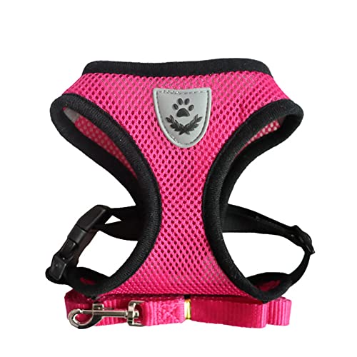 Designerbox Hundegeschirr, verstellbares Haustiergeschirr, Netzgewebe mit weicher Laufleine für Welpen, Größe XL, Rosa Designerbox Hundegeschirr, verstellbares Haustiergeschirr, Netzgewebe mit weicher Laufleine für Welpen, Größe XL, Rosa von DesignBox