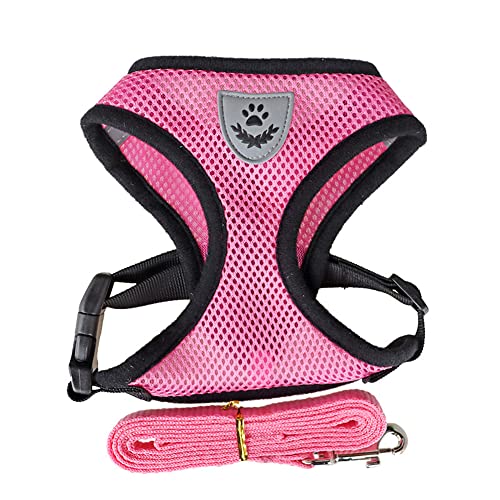 Designerbox Hundegeschirr für Katzen, verstellbar, Netzgewebe mit weicher Laufleine für Welpen, Größe L, Rosa Designerbox Hundegeschirr für Katzen, verstellbar, Netzgewebe mit weicher Laufleine für Welpen, Größe L, Rosa von DesignBox