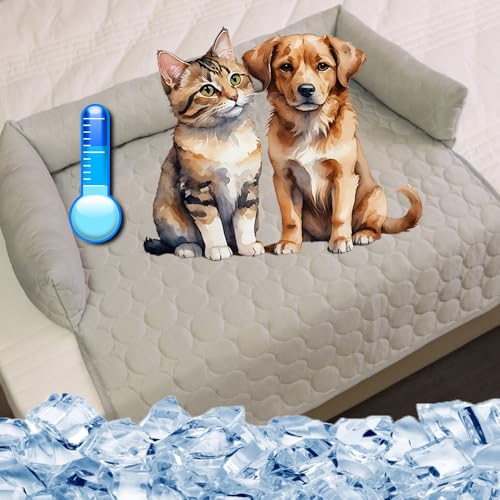 DesignHeim kühldecke Hund sofaschutz Hund kühlbett für Hunde pelzbarn kühlendes sofabett Selbstkühlend Bequemes Wasserdichtes Katzen Hundebett für den Sommer (Grau, 90 * 90) von DesignHeim