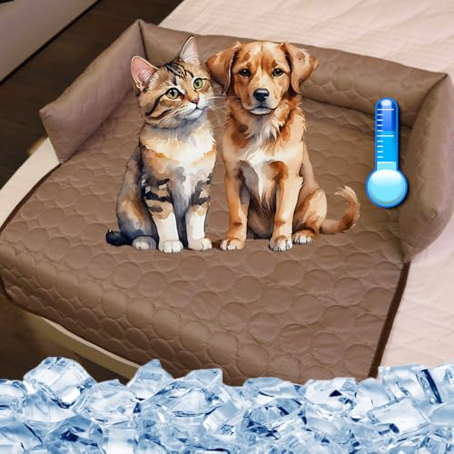 DesignHeim kühldecke Hund sofaschutz Hund kühlbett für Hunde pelzbarn kühlendes sofabett Selbstkühlend Bequemes Wasserdichtes Katzen Hundebett für den Sommer (Kaffee, 70 * 70) von DesignHeim