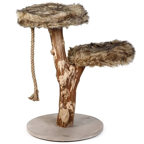 Designed by Lotte Kratzbaum Holz L: 50 cm B: 50 cm H: 68 cm Aviva von Designed by Lotte