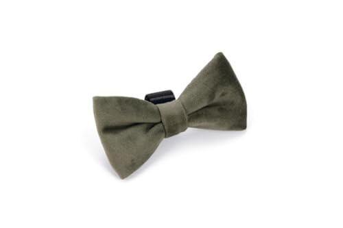 Designed by Lotte Fliege Zaza - Hundehalsband - Velvet - Grün - 9x5x1 Designed by Lotte Fliege Zaza - Hundehalsband - Velvet - Grün - 9x5x1 von Designed by Lotte