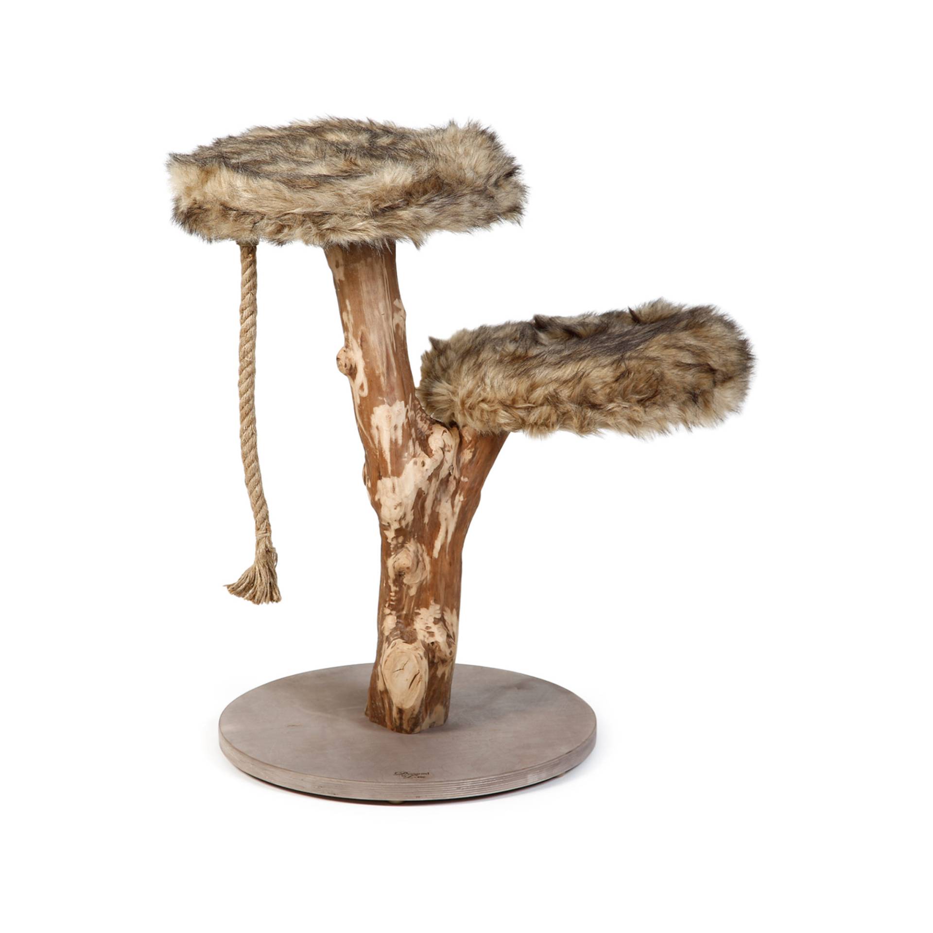 Designed by Lotte Katzenbaum Aviva Designed by Lotte Katzenbaum Aviva von Designed by Lotte