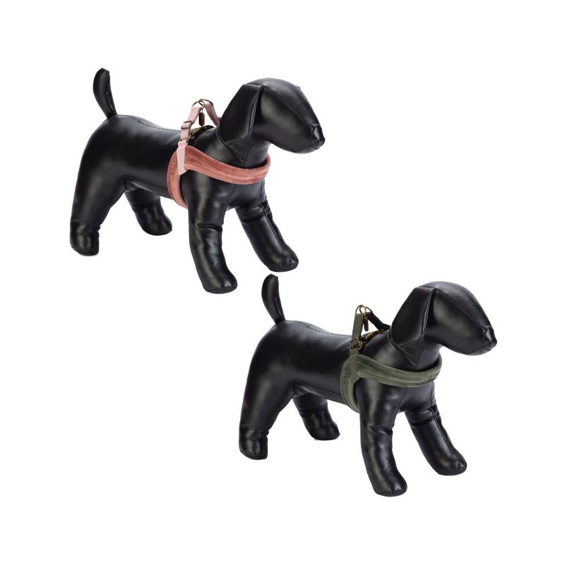 Designed by Lotte Velura - Hundegeschirr - Rosa - XXS - 20 mm x 36 cm von Designed by Lotte