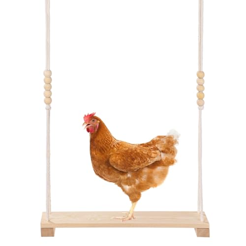 Deskium Hühnerschaukel aus Holz, natürlich, 120 x 7,6 x 39,9 cm, Wurstspielzeug für Hühner, hängende Plattformschaukel, große Papageien, Vögel, Geflügel, Indoor-Outdoor-Spielständer, entspannende Deskium Hühnerschaukel aus Holz, natürlich, 120 x 7,6 x 39,9 cm, Wurstspielzeug für Hühner, hängende Plattformschaukel, große Papageien, Vögel, Geflügel, Indoor-Outdoor-Spielständer, entspannende von Deskium