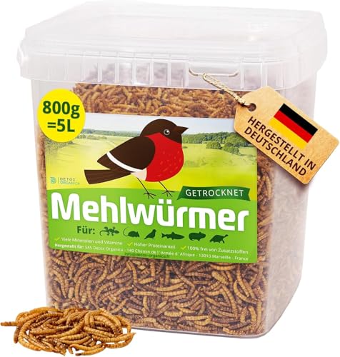 Mehlwürmer Getrocknet, 800g (5L) getrocknete Mehlwürmer mit sehr hohem Proteingehalt, Würmer für Reptilien, Vögel, Wildvögel, Igel, Fische, Schildkröten & Nager – Premium Qualität von Detox Organica