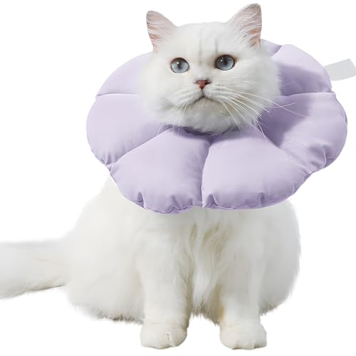 Deuson Halskrause Katze,Halskrause Katze Weich,Halsschutzkragen,Weich Blumen Haustier Erholungshalsband,Kratzfest,Wischfest und Einstellbar,für Katzen Kleiner Hunde Nach Verletzungen(M) von Deuson