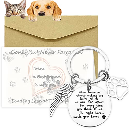 Devenirriche Pet Memorial Gifts Loss of Pet Remembrance Keychain Memorial Dog Keyring Sympathy Gifts with Condolence Card Envelope for Pet Dog Cat Lover Memorial Keyring Angel with Paws von Devenirriche