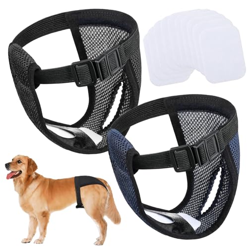 Packung Hundewindeln, 2 Pack Waschbare Schutzhöschen mit 10 Hygienepad Wiederverwendbare Hundewindeln Hundehose für Hündinnen die Monatsblutung (XL) von Devenirriche