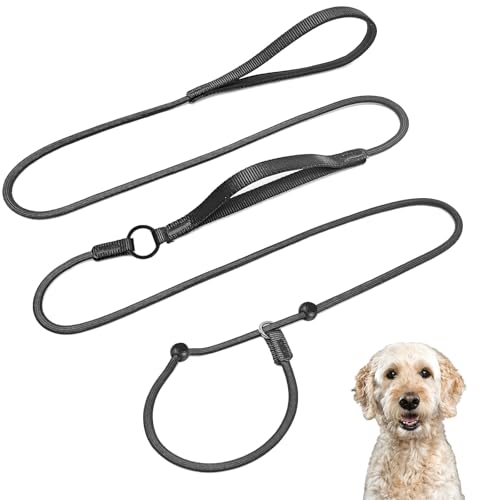 Retrieverleine Hundeleine, 1,7 m, doppelt gepolsterte Griffe, Rutschleine, Anti-Zieh-Hundeleine für mittelgroße und kleine Rassen, Training, Spaziergänge Retrieverleine Hundeleine, 1,7 m, doppelt gepolsterte Griffe, Rutschleine, Anti-Zieh-Hundeleine für mittelgroße und kleine Rassen, Training, Spaziergänge von Devenirriche