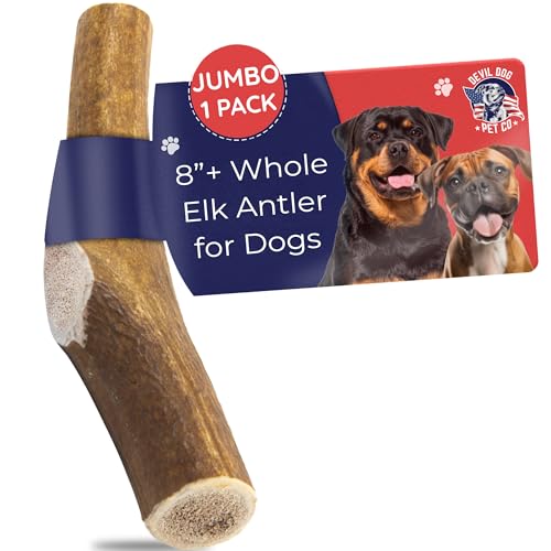 Devil Dog Pet Co Antler Dog Chew - Premium Elk Antlers for Dogs - Long Lasting Dog Bones for Aggressive Chewers - No Mess ... Devil Dog Pet Co Antler Dog Chew - Premium Elk Antlers for Dogs - Long Lasting Dog Bones for Aggressive Chewers - No Mess ... von Devil Dog Pet Co