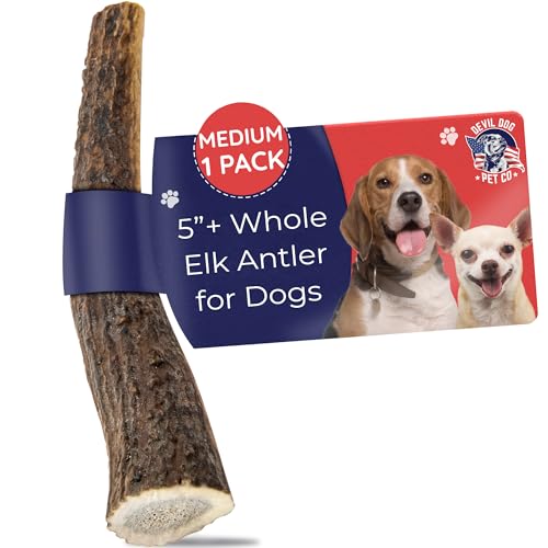 Hunde Kauspielzeug für Aggressive Kauer Hunde Kauspielzeug für Aggressive Kauer von Devil Dog Pet Co