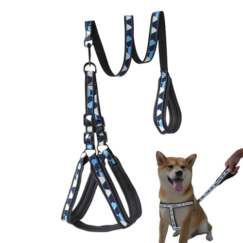 Dewireaey Hundegeschirr Und Leine | Reflektierende Welpen Zugleine | Einstellbares Atmungsaktives Geschirr Für Große Und Mittelgroße Hunde von Dewireaey
