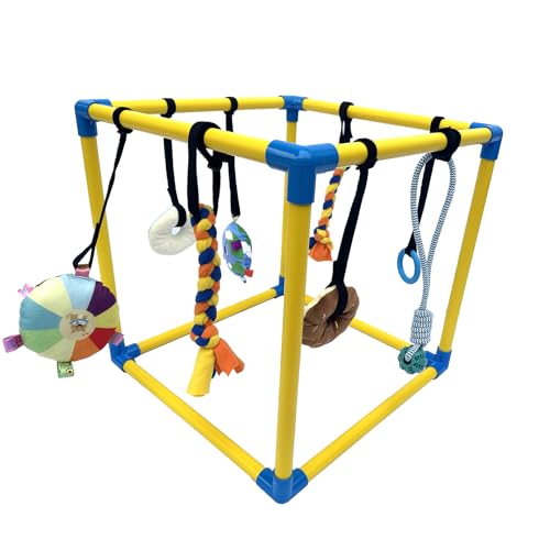 Dewonch Welpenspielstudio mit 8 hängenden Spielzeugen, kleine Hunde Indoor Dschungel Gym, PVC-Rahmen mit Bungee-Gurten Bereicherung Activity Center von Dewonch