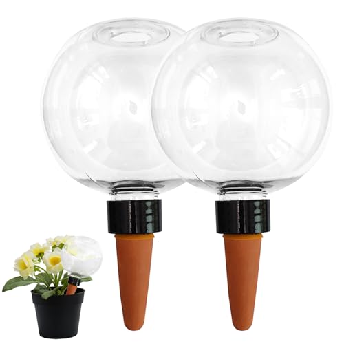 Dewppxi Selfs Bewässerungskugeln, 500ml Pflanzenbewässerung Indoor Outdoor, Automatische Wasserspender Pflanzen, Pflanzen Automatische Bewässerungsstäbe (2 Stück) von Dewppxi