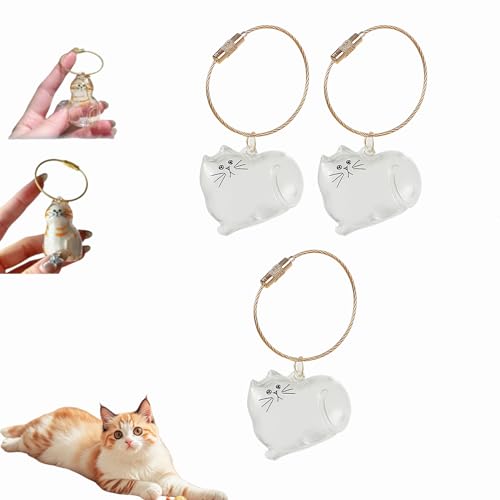 Katzenhaar-Schlüsselanhänger, Katzenhaar-Aufbewahrungsflasche, Tierhaar-Gedenkflasche, Schlüsselanhänger zum Sammeln von Katzen- und Hundehaaren, Erinnerungsgeschenke für Katzenliebhaber (A-3Stück) Katzenhaar-Schlüsselanhänger, Katzenhaar-Aufbewahrungsflasche, Tierhaar-Gedenkflasche, Schlüsselanhänger zum Sammeln von Katzen- und Hundehaaren, Erinnerungsgeschenke für Katzenliebhaber (A-3Stück) von Dewppxi