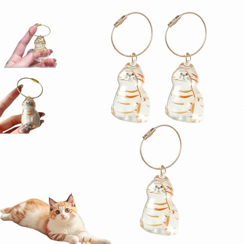 Katzenhaar-Schlüsselanhänger, Katzenhaar-Aufbewahrungsflasche, Tierhaar-Gedenkflasche, Schlüsselanhänger zum Sammeln von Katzen- und Hundehaaren, Erinnerungsgeschenke für Katzenliebhaber (B-3Stück) Katzenhaar-Schlüsselanhänger, Katzenhaar-Aufbewahrungsflasche, Tierhaar-Gedenkflasche, Schlüsselanhänger zum Sammeln von Katzen- und Hundehaaren, Erinnerungsgeschenke für Katzenliebhaber (B-3Stück) von Dewppxi