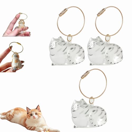 Katzenhaar-Schlüsselanhänger, Katzenhaar-Aufbewahrungsflasche, Tierhaar-Gedenkflasche, Schlüsselanhänger zum Sammeln von Katzen- und Hundehaaren, Erinnerungsgeschenke für Katzenliebhaber (C-3Stück) Katzenhaar-Schlüsselanhänger, Katzenhaar-Aufbewahrungsflasche, Tierhaar-Gedenkflasche, Schlüsselanhänger zum Sammeln von Katzen- und Hundehaaren, Erinnerungsgeschenke für Katzenliebhaber (C-3Stück) von Dewppxi