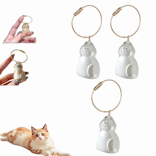 Katzenhaar-Schlüsselanhänger, Katzenhaar-Aufbewahrungsflasche, Tierhaar-Gedenkflasche, Schlüsselanhänger zum Sammeln von Katzen- und Hundehaaren, Erinnerungsgeschenke für Katzenliebhaber (D-3Stück) Katzenhaar-Schlüsselanhänger, Katzenhaar-Aufbewahrungsflasche, Tierhaar-Gedenkflasche, Schlüsselanhänger zum Sammeln von Katzen- und Hundehaaren, Erinnerungsgeschenke für Katzenliebhaber (D-3Stück) von Dewppxi