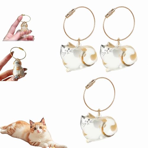 Katzenhaar-Schlüsselanhänger, Katzenhaar-Aufbewahrungsflasche, Tierhaar-Gedenkflasche, Schlüsselanhänger zum Sammeln von Katzen- und Hundehaaren, Erinnerungsgeschenke für Katzenliebhaber (E-3Stück) Katzenhaar-Schlüsselanhänger, Katzenhaar-Aufbewahrungsflasche, Tierhaar-Gedenkflasche, Schlüsselanhänger zum Sammeln von Katzen- und Hundehaaren, Erinnerungsgeschenke für Katzenliebhaber (E-3Stück) von Dewppxi