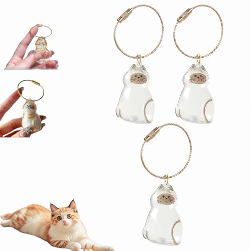Katzenhaar-Schlüsselanhänger, Katzenhaar-Aufbewahrungsflasche, Tierhaar-Gedenkflasche, Schlüsselanhänger zum Sammeln von Katzen- und Hundehaaren, Erinnerungsgeschenke für Katzenliebhaber (F-3Stück) Katzenhaar-Schlüsselanhänger, Katzenhaar-Aufbewahrungsflasche, Tierhaar-Gedenkflasche, Schlüsselanhänger zum Sammeln von Katzen- und Hundehaaren, Erinnerungsgeschenke für Katzenliebhaber (F-3Stück) von Dewppxi