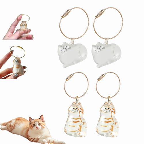 Katzenhaar-Schlüsselanhänger, Katzenhaar-Aufbewahrungsflasche, Tierhaar-Gedenkflasche, Schlüsselanhänger zum Sammeln von Katzen- und Hundehaaren, Erinnerungsgeschenke für Katzenliebhaber (G-4Stück) Katzenhaar-Schlüsselanhänger, Katzenhaar-Aufbewahrungsflasche, Tierhaar-Gedenkflasche, Schlüsselanhänger zum Sammeln von Katzen- und Hundehaaren, Erinnerungsgeschenke für Katzenliebhaber (G-4Stück) von Dewppxi